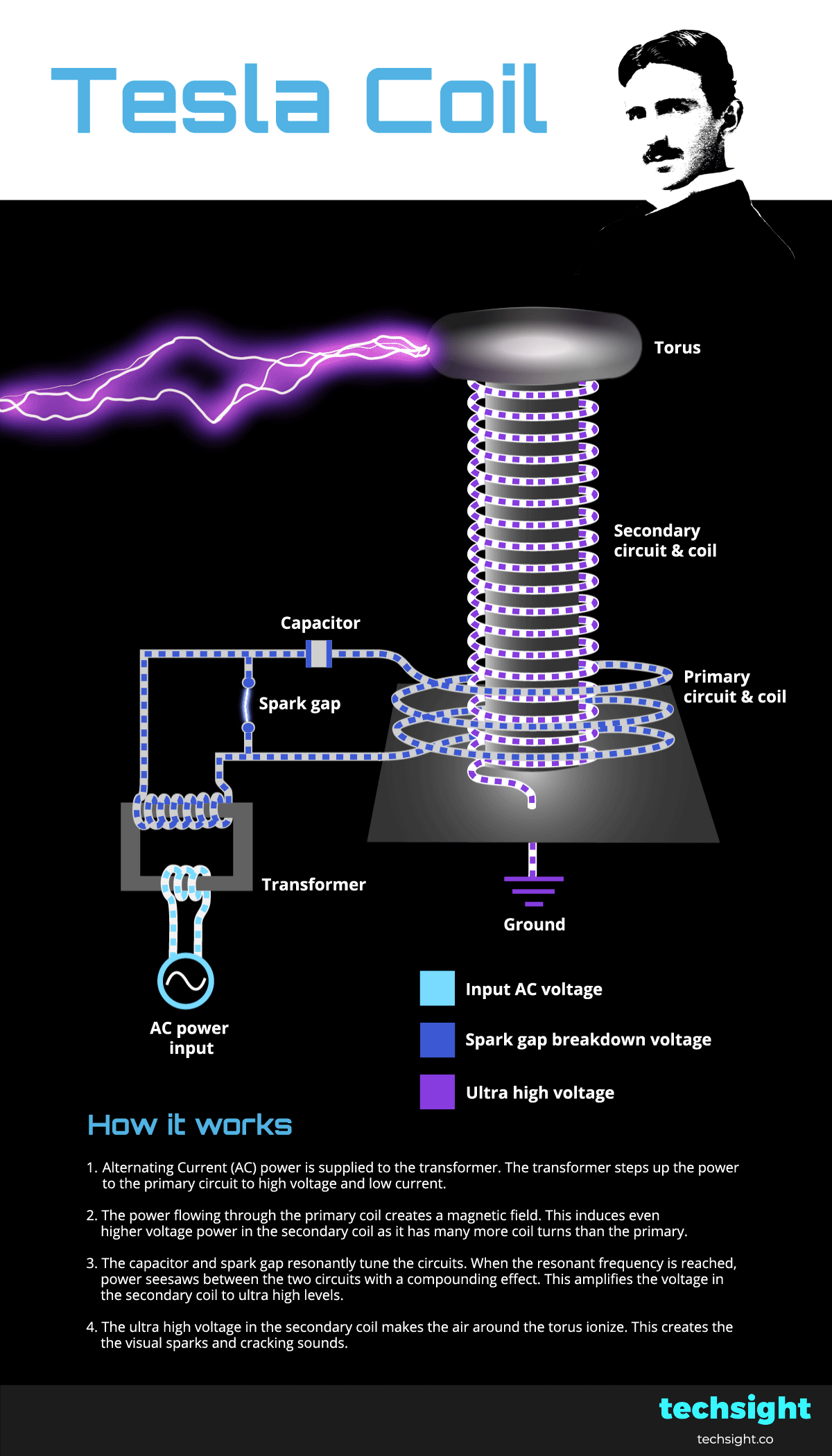 Tesla Coil - Animated Schematic - Techsight
